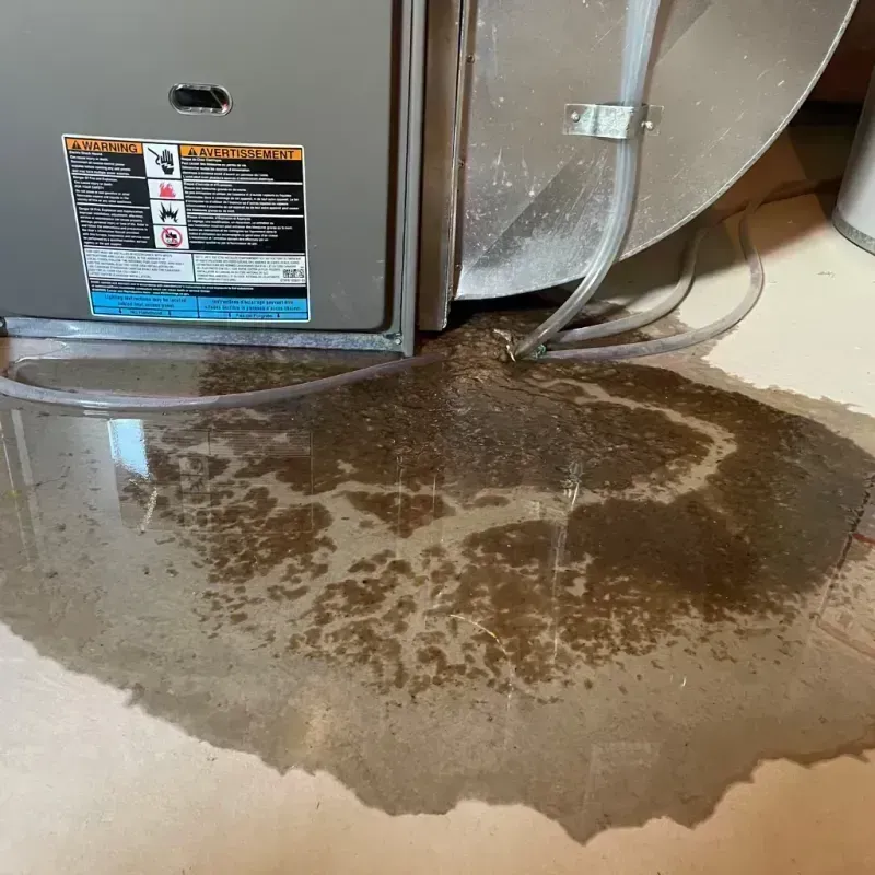 Appliance Leak Cleanup in Troy, IL